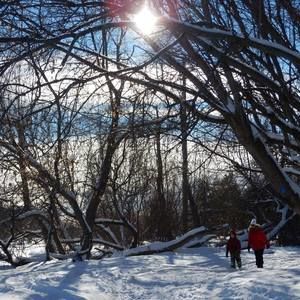 Meet your Posher, Ruth